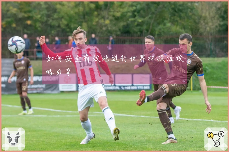 如何安全有效地进行世界杯投注攻略分享