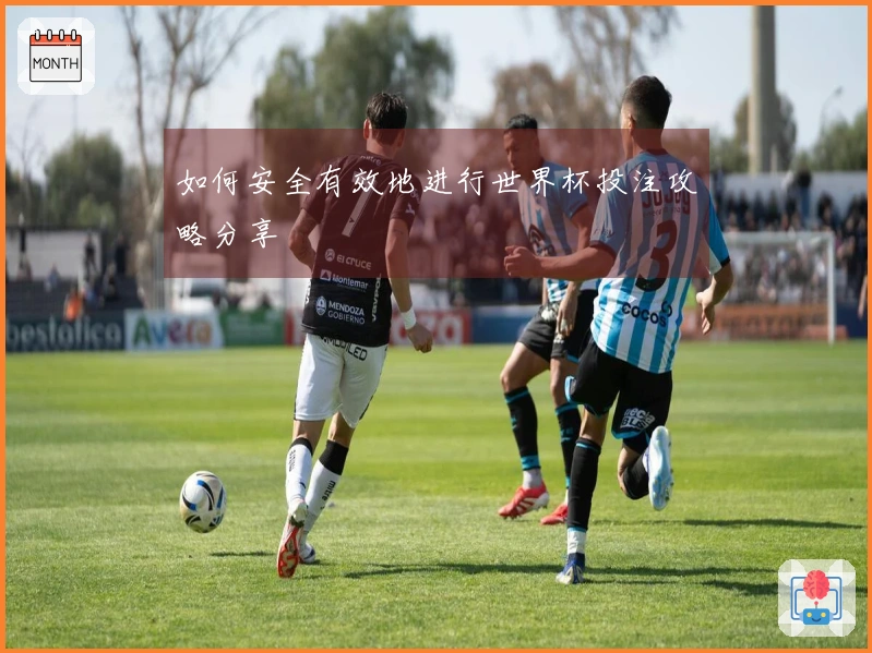 如何安全有效地进行世界杯投注攻略分享